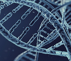 GFP/RFP轉(zhuǎn)染實(shí)驗(yàn)利器！