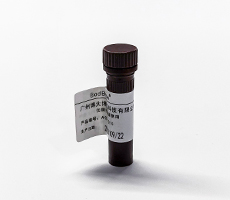 細(xì)胞計(jì)數(shù)用臺(tái)盼藍(lán)染料or AOPI熒光染料？