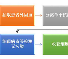 細胞計數(shù)儀如何應(yīng)用于生物免疫治療？