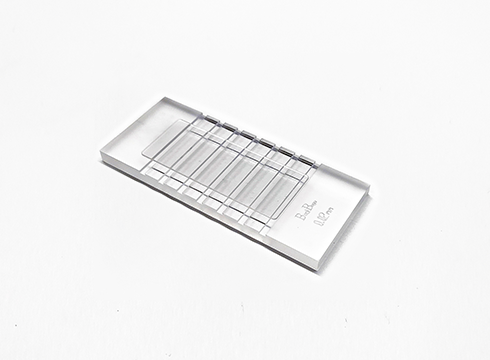 微生物計數(shù)板