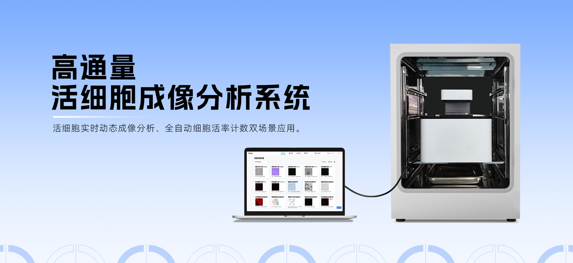 Live-Counter系列活細(xì)胞成像分析儀器：從基礎(chǔ)實(shí)驗(yàn)到高通量攻堅(jiān)，解鎖科研高效新范式